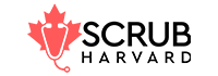 L13 logo