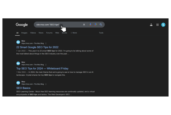 How to Use the site operator Google search operatot. site:example.com "keyword". For instance, if you want to see articles on SEO tips from Moz, you’d search: site:moz.com "SEO tips".